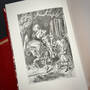 6522 alice in wonderland & through the looking glass lewis carroll illustration3