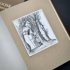 3405 mother goose the old nursery rhymes mother goose illustration20