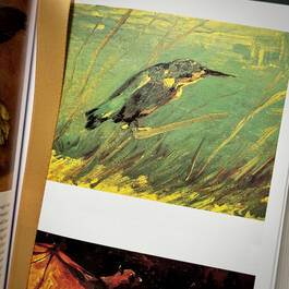3573 van gogh complete paintings walther illustration6