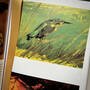 Van Gogh: The Complete Paintings, 3573 van gogh complete paintings walther illustration6