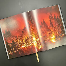 3882 weather robert ford illustration7