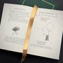 3903 winnie the pooh a.a milne illustration10