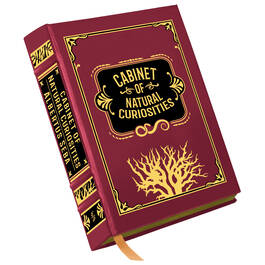 Cabinet of Natural Curiosities 3844 a cvr
