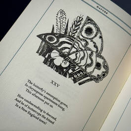 3998048 emily dickinson illustration