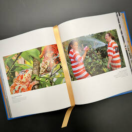 3918 21st century photographs from the image collection national geographic satin ribbon2