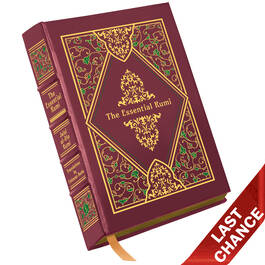 Essential Rumi 3743 b LQ