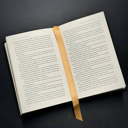 6500 a lion among men gregory maguire  satin ribbon4