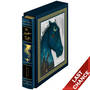 Arabian Nights 3709 z cvrLQ