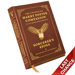 Harry Potter Companion Sorcerers Stone 3878 b LQ
