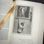 0135 the complete sherlock arthur conan doyle illustration4