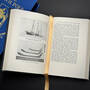 3409 the north pole robert peary illustration9