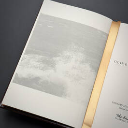6499 olive kitteridge elizabeth strout illustration