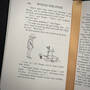 3903 winnie the pooh a.a milne illustration3
