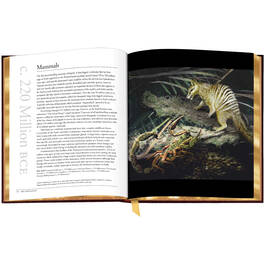 3742 The Earth Book sp06