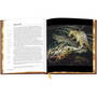3742 The Earth Book sp06