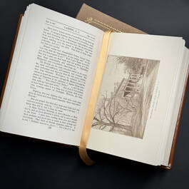 3514 a diary from dixie mary boykin chestnut illustration11