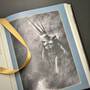 6532 a dictionary of tolkien david day illustration10