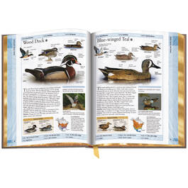 Birds of North America 3925 e 03