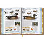 Birds of North America 3925 e 03