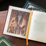 Grimm’s Fairy Tales, Deluxe Edition, Grimms Fairy Tales 3872 n location6