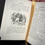 6522 alice in wonderland & through the looking glass lewis carroll illustration8