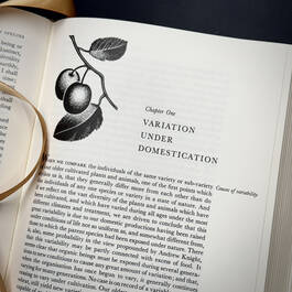 3998068 on the origin of species&nbsp; charles darwin illustration12