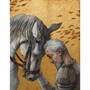 DON QUIXOTE, Don Quixote SBA 3774 e ft03
