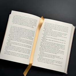 6489 the help kathryn stockett satin ribbon3