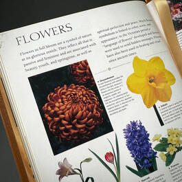 3668 signs & symbols page detail