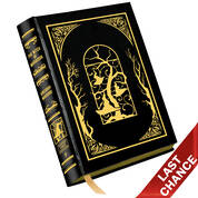 Maguire The Witch of Maracoor 0875357 b LQ