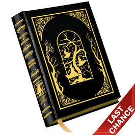 Maguire The Witch of Maracoor 0875357 b LQ