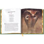 The Jungle Book 3949 i sp6