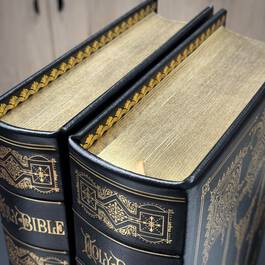 2848 the holy bible set gustave dor&eacute; gilded pages