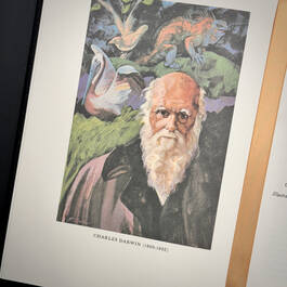 3998068 on the origin of species&nbsp; charles darwin illustration