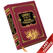 Cabinet of Natural Curiosities 3844 b LQ