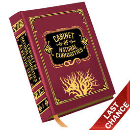 Cabinet of Natural Curiosities 3844 b LQ