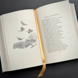 3998051 the poetry of robert frost robert frost illustration4