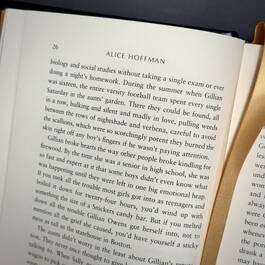 3370 practical magic alice hoffman satin ribbon2