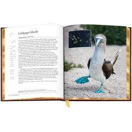 3742 The Earth Book sp09