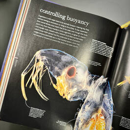 3924 micro life smithsonian illustration12