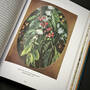 3981 the plant hunters atlas ambra edwards illustration3