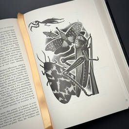 3998068 on the origin of species&nbsp; charles darwin illustration11