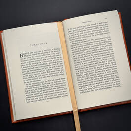 3815048 animal farm george orwell satin ribbon1
