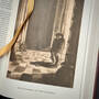 3998084 the hunchback of notre dame victor hugo illustration8