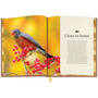 Audobon Nature Handbook 3869 g sp05