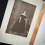 3514 a diary from dixie mary boykin chestnut illustration1