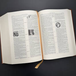 1963 1846 illuminated holy bible harper & brothers&nbsp; satin ribbon2