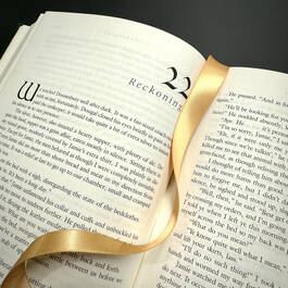 3331 outlander satin ribbon2