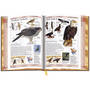 Birds of North America 3925 g 07