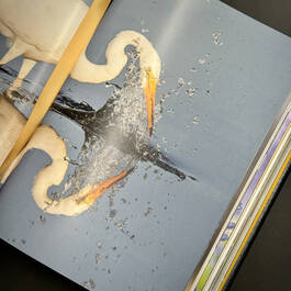 6525 flyaway of life tomas koeck illustration10